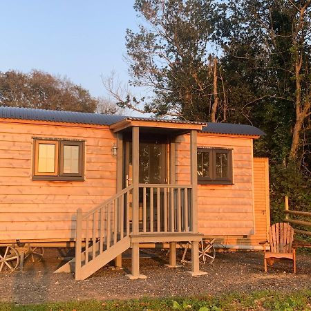 Lle Mary - Beautiful Views, Hot Tub, Secluded, Dog Welcome, Barmouth Llanddwywe エクステリア 写真