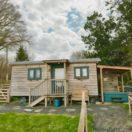 Lle Mary - Beautiful Views, Hot Tub, Secluded, Dog Welcome, Barmouth Llanddwywe エクステリア 写真
