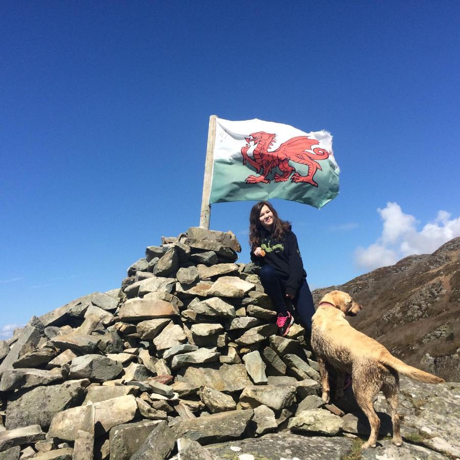 Lle Mary - Beautiful Views, Hot Tub, Secluded, Dog Welcome, Barmouth Llanddwywe エクステリア 写真