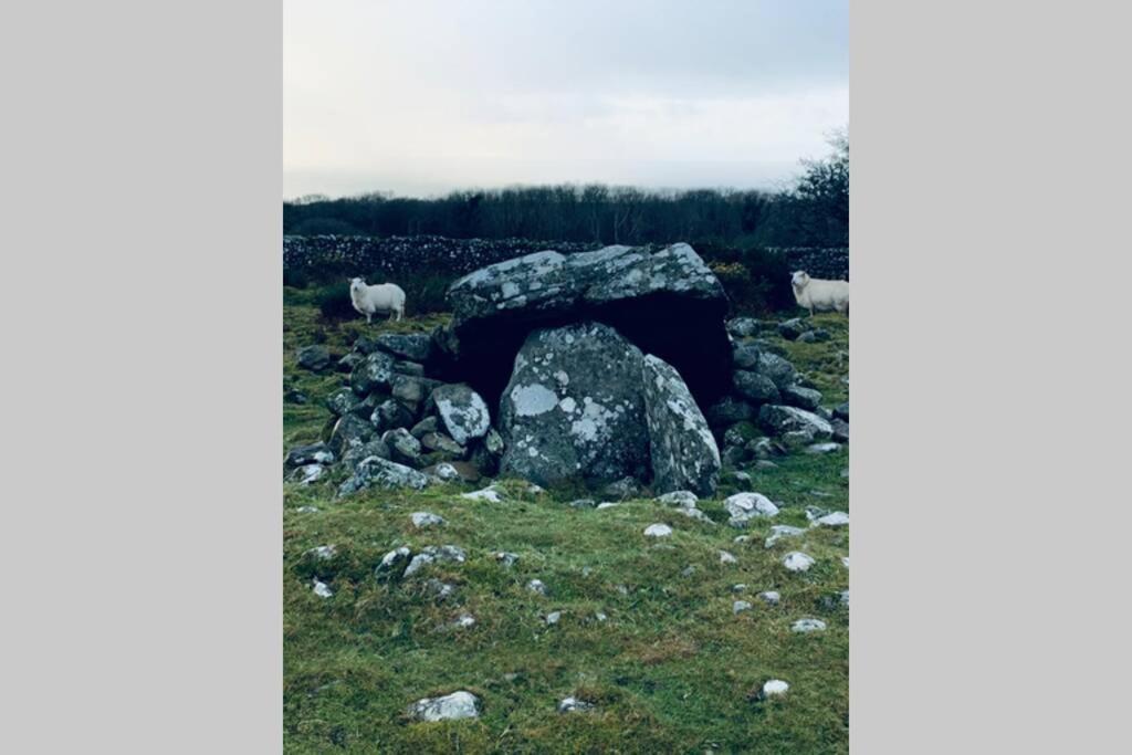 Lle Mary - Beautiful Views, Hot Tub, Secluded, Dog Welcome, Barmouth Llanddwywe エクステリア 写真