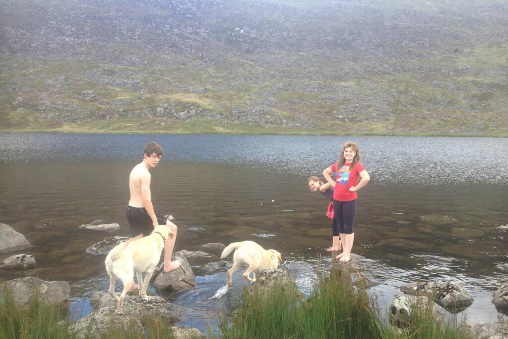 Lle Mary - Beautiful Views, Hot Tub, Secluded, Dog Welcome, Barmouth Llanddwywe エクステリア 写真