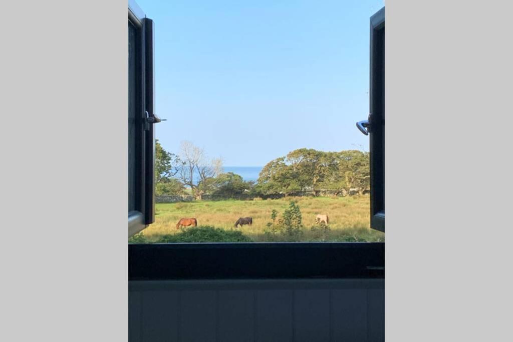 Lle Mary - Beautiful Views, Hot Tub, Secluded, Dog Welcome, Barmouth Llanddwywe エクステリア 写真