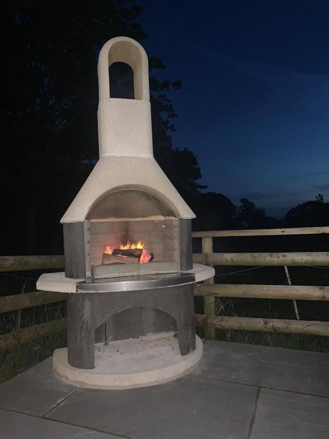 Lle Mary - Beautiful Views, Hot Tub, Secluded, Dog Welcome, Barmouth Llanddwywe エクステリア 写真