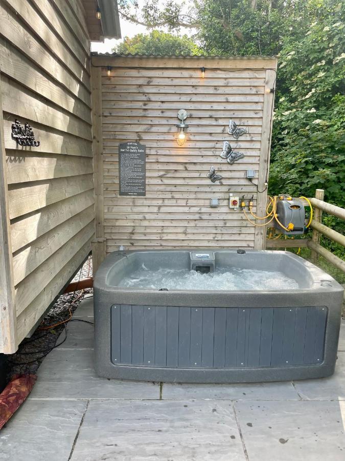 Lle Mary - Beautiful Views, Hot Tub, Secluded, Dog Welcome, Barmouth Llanddwywe エクステリア 写真